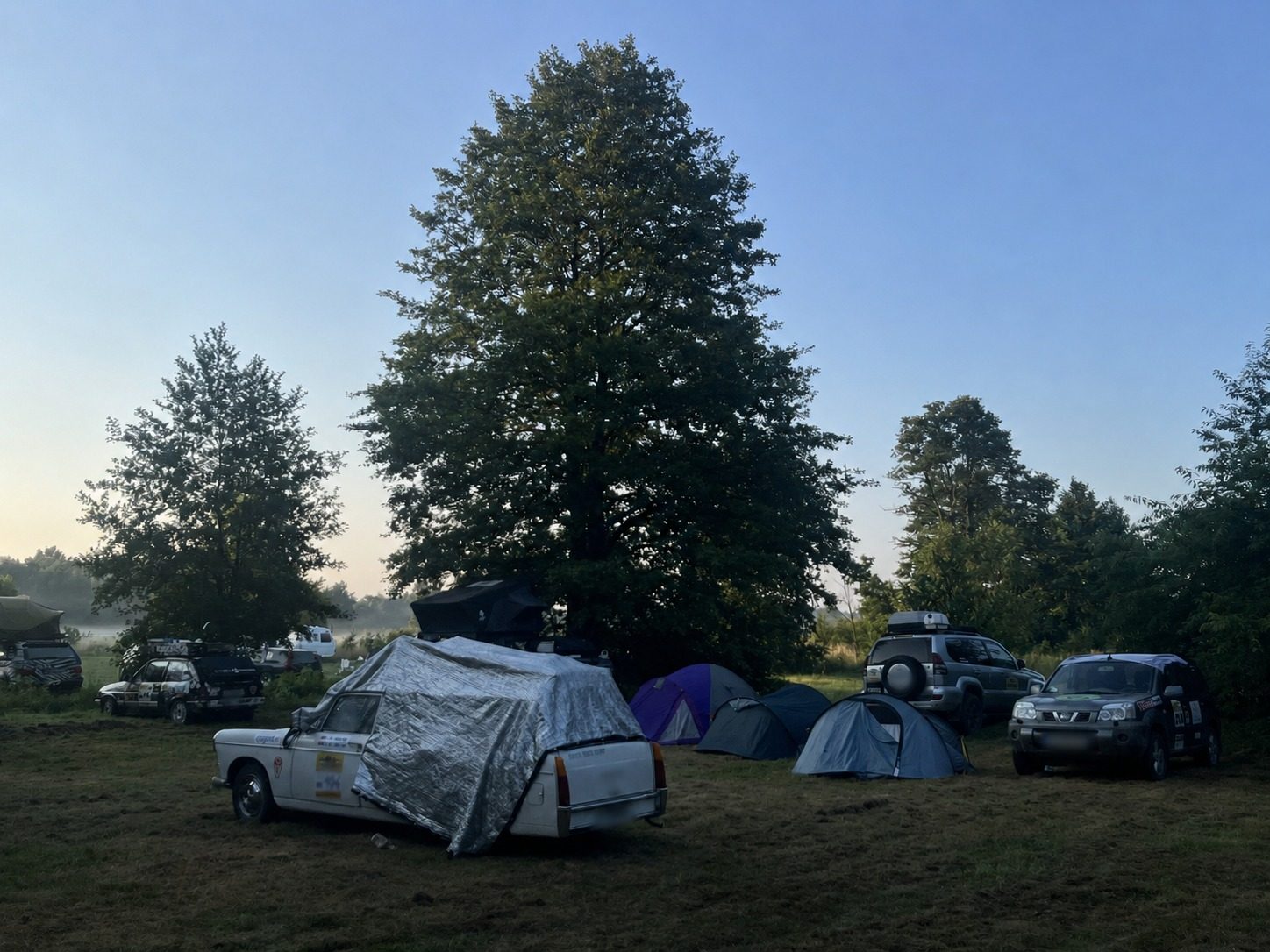 Morning mist over the meadow with tents and cars