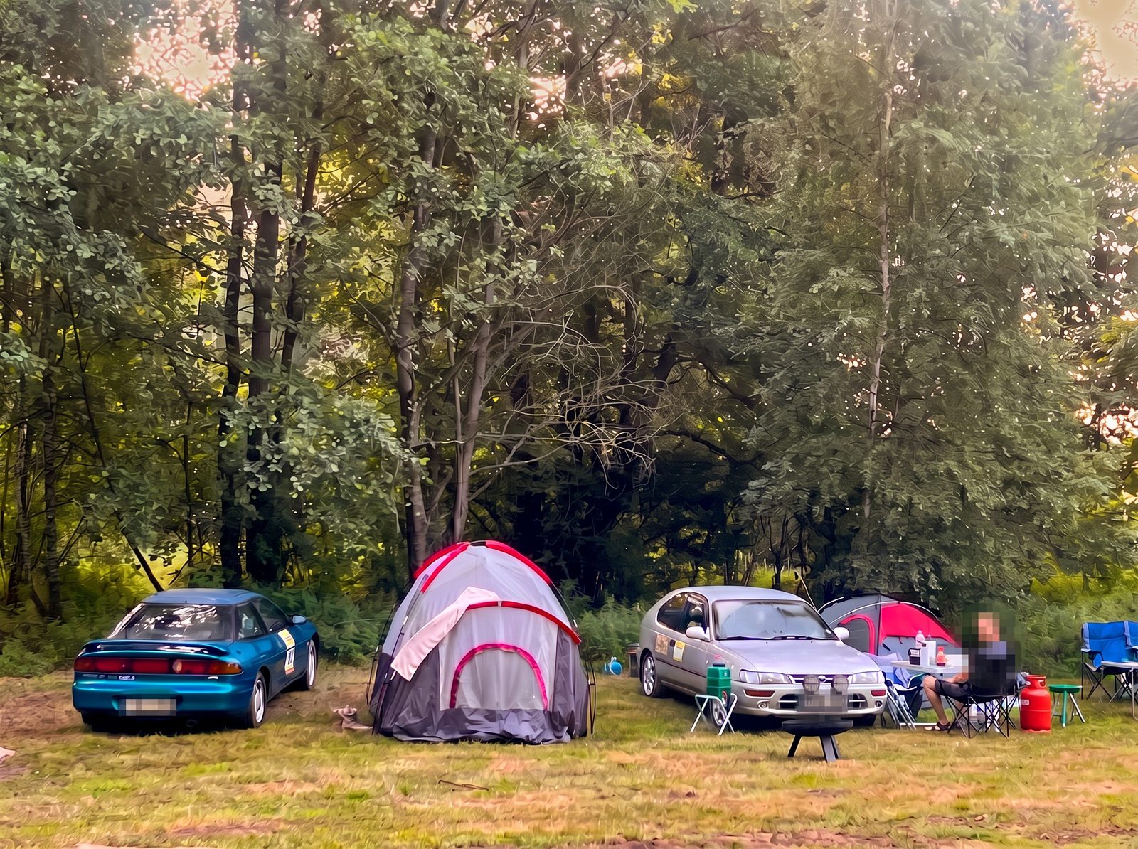 Tents in the woods at The Farm campsite